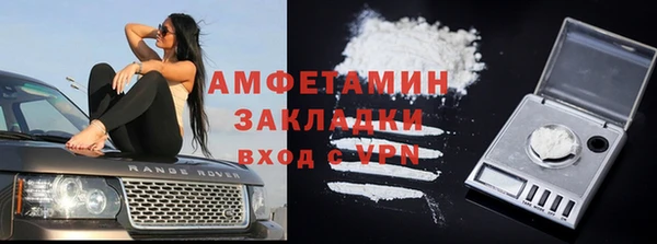 дмт Алзамай