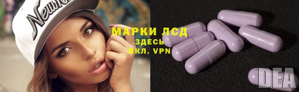 хмурый Алексин