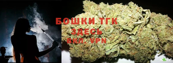 дмт Алзамай